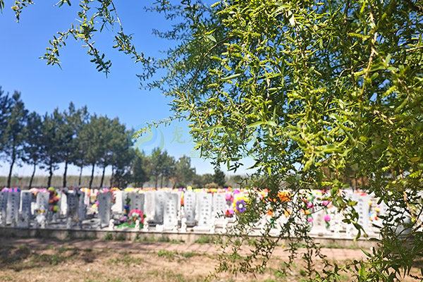 南昌墓园价格一览:清明特惠墓地选购全攻略(2026特殊节点) 南昌墓园价格一览:清明特惠墓地选购全攻略(2026特殊节点)