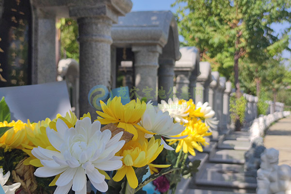 西安墓园价格全攻略:2026惠民品质墓地选购指南,手续一站式搞定!.jpg 西安墓园价格全攻略:2026惠民品质墓地选购指南,手续一站式搞定!.jpg