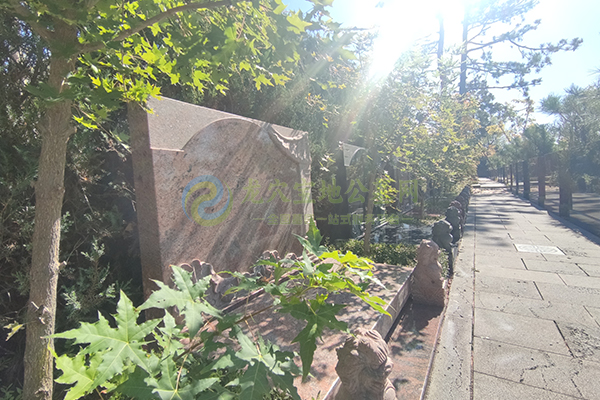 北京墓地栽树离多远合适?风水与实用建议 北京墓地栽树离多远合适?风水与实用建议