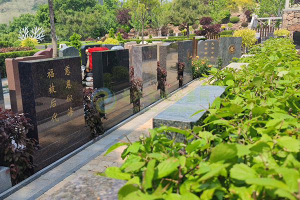 济南墓园清明选墓价格大全2026攻略:一步到位,选对安息家园 济南墓园清明选墓价格大全2026攻略:一步到位,选对安息家园