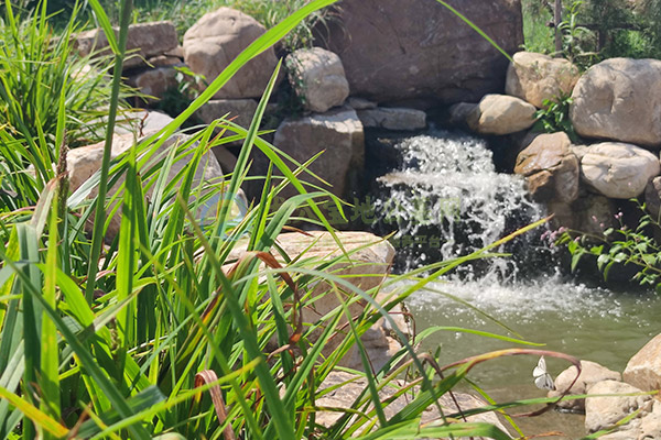 2026杭州墓地清明价格全攻略:生态到高端,帮你省钱又选对 2026杭州墓地清明价格全攻略:生态到高端,帮你省钱又选对