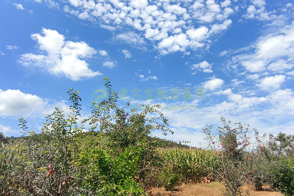 沈阳墓地价格一览2026清明特惠活动:低至2800元起,选墓避坑全攻略 沈阳墓地价格一览2026清明特惠活动:低至2800元起,选墓避坑全攻略