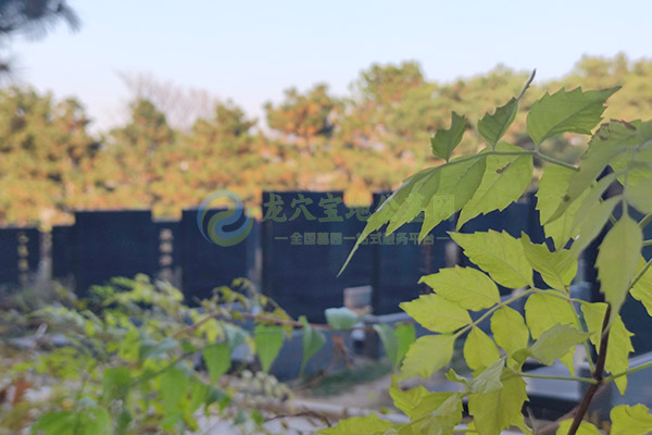 北京墓地价格清明选墓全攻略：预算、风水、流程、避坑一网打尽（2026惠民版）