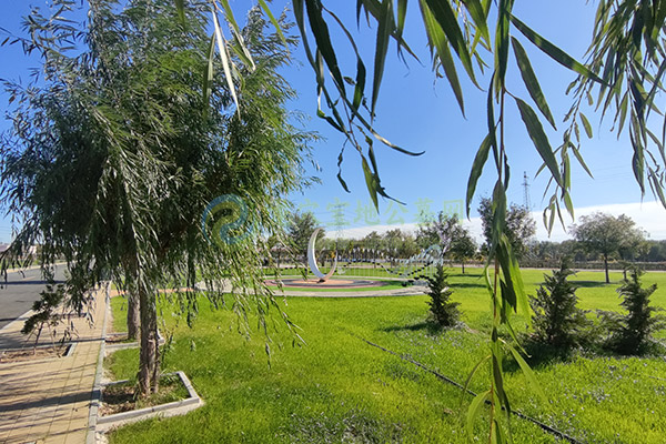 北京墓地价格清明选墓全攻略：预算、风水、流程、避坑一网打尽（2026惠民版）