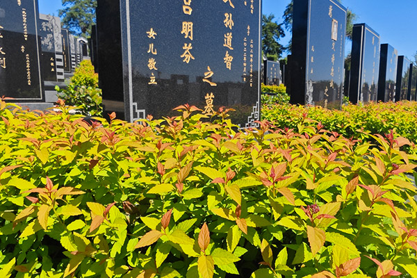 北京公墓大全排行悼词