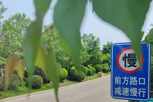 天津墓园的逝者生平
